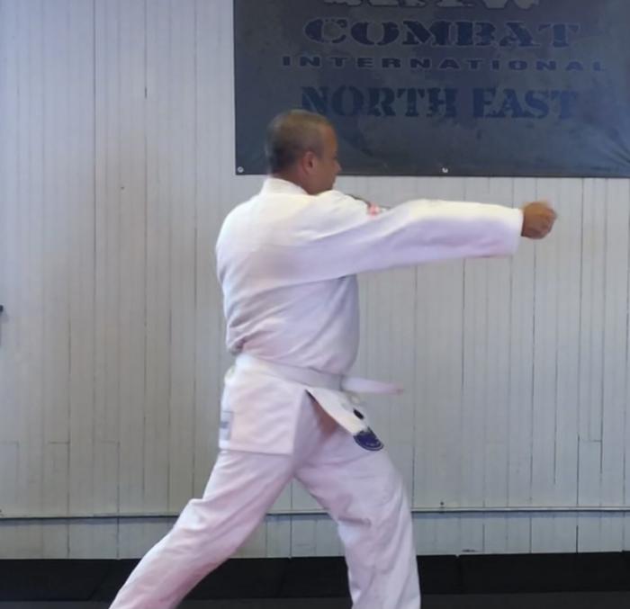 Vertical Fist