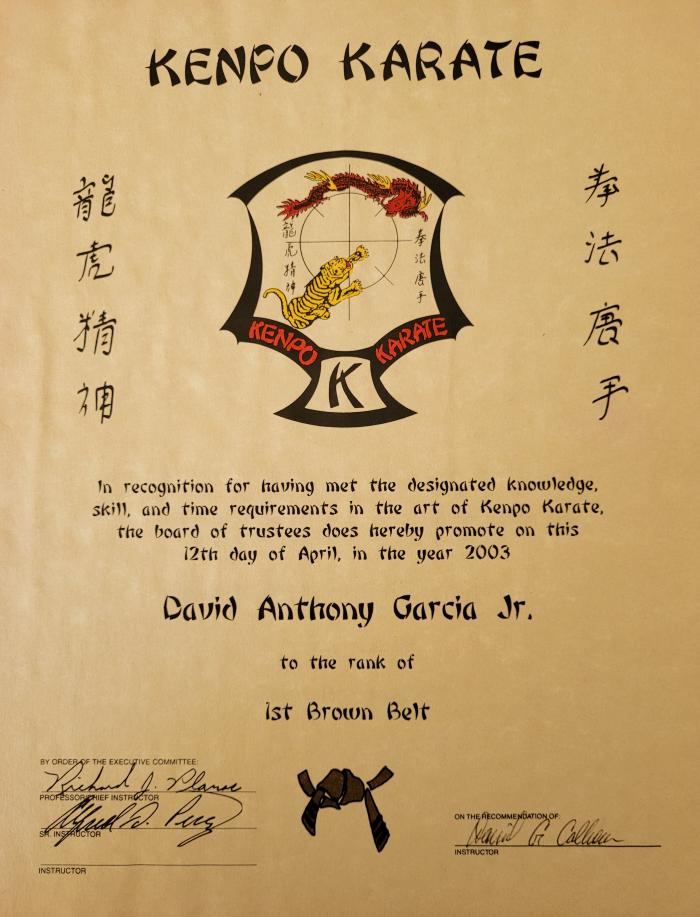 Brown belt 1st degree · April 12, 2003 · Promoted by David Calhoun