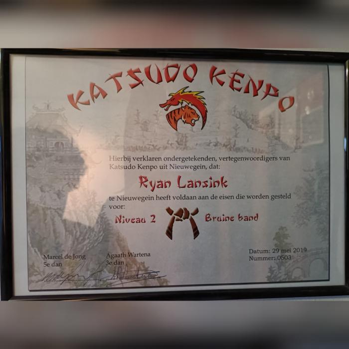 Brown belt 2nd degree · May 29, 2019 · Promoted by Marcel De Jong