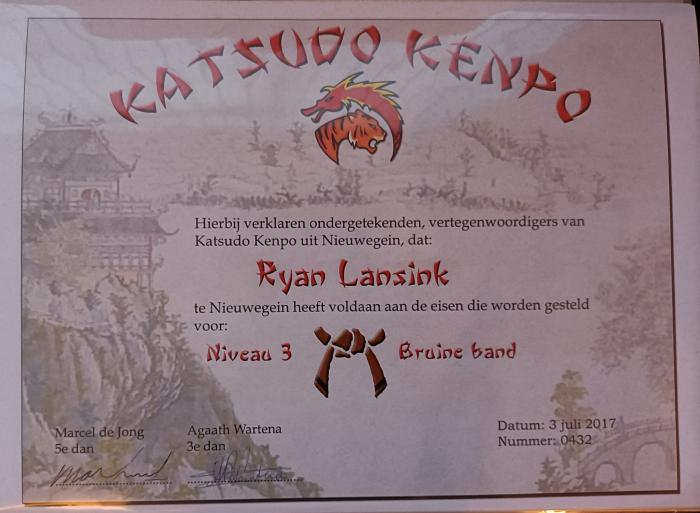 Brown belt 3rd degree · July 3, 2017 · Promoted by Marcel De Jong