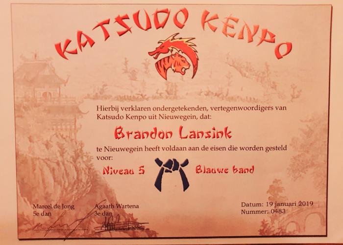 Blue belt · January 19, 2019 · Promoted by Marcel De Jong