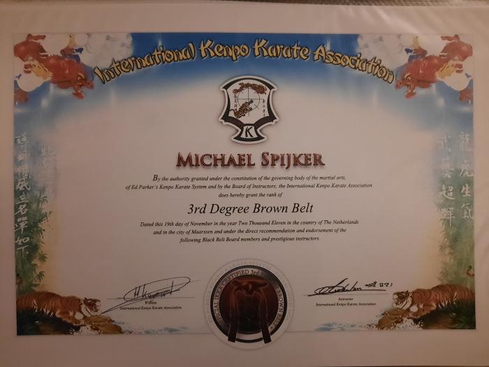 Brown belt 3rd degree · November 19, 2011 · Promoted by Romano Michielsen