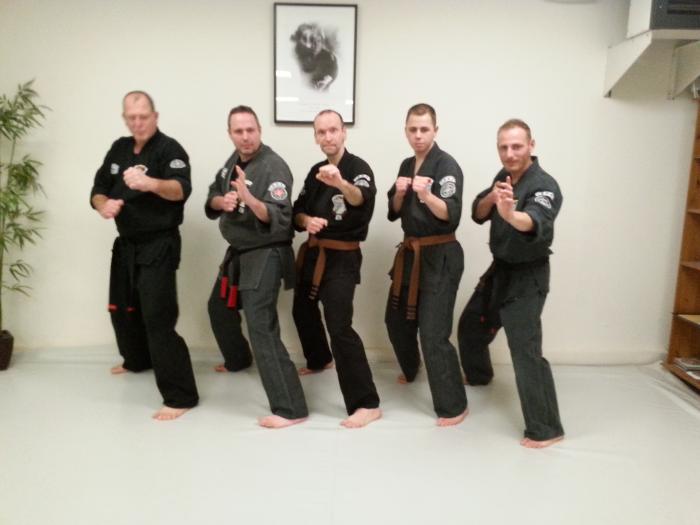 Brown belt 1st degree · December 12, 2013 · Promoted by Romano Michielsen