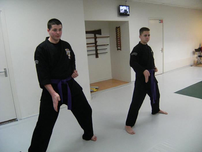 Blue belt · November 21, 2009 · Promoted by Romano Michielsen