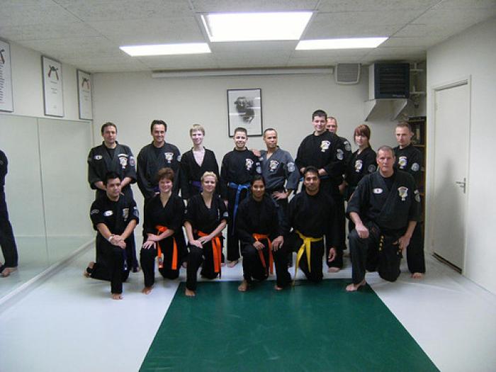 Blue belt · November 21, 2009 · Promoted by Romano Michielsen