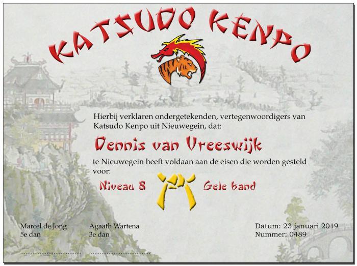 Yellow belt · January 23, 2019 · Promoted by Marcel De Jong