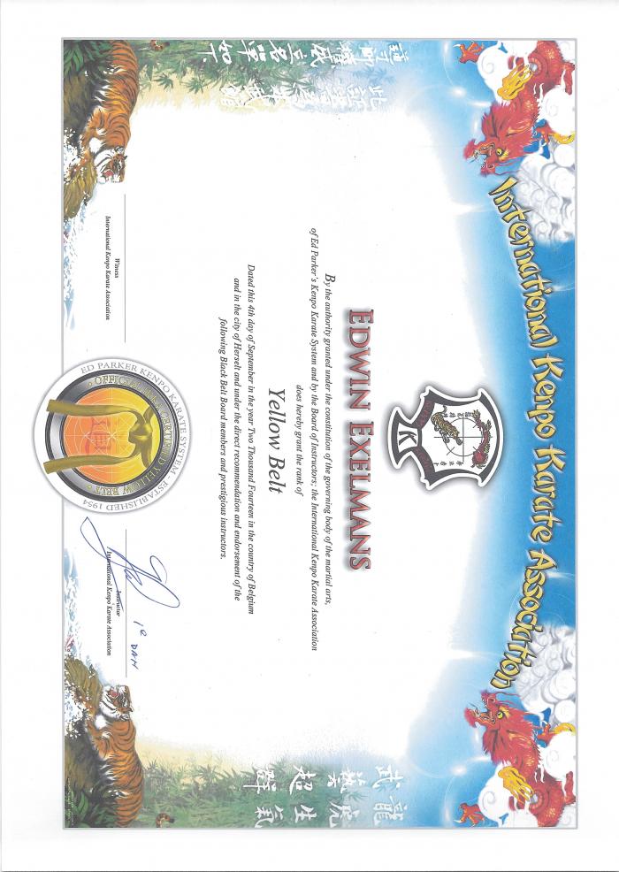 Yellow belt · September 4, 2014 · Promoted by Gunther Groenestein