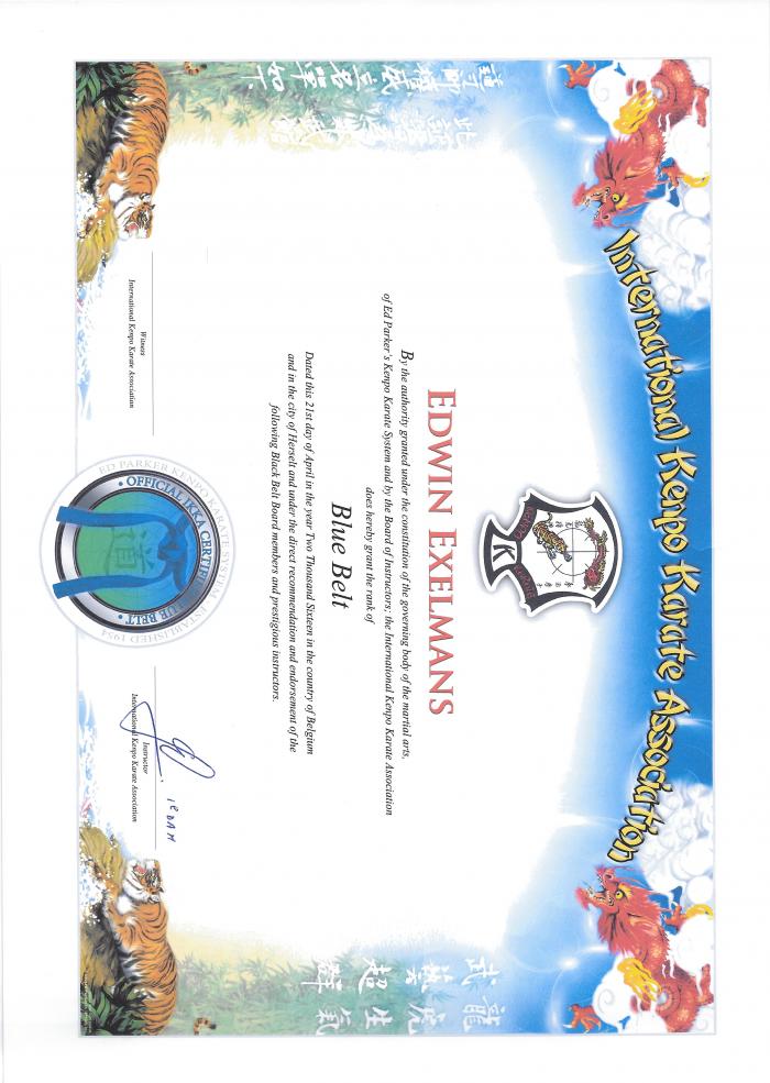 Blue belt · April 14, 2015 · Promoted by Gunther Groenestein