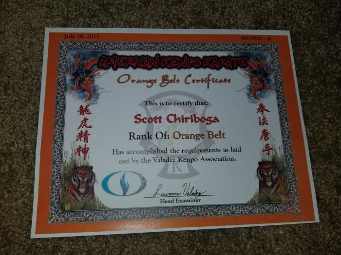 Orange belt · July 18, 2015 · Promoted by Lawrence Valadez